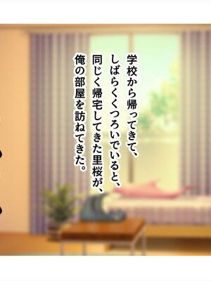 (同人CG集) [ペンギン千番地 (ほしゃら)] 義妹は俺のことが大好きなので、必死に頼めばヤらせてくれる。_049_main_040