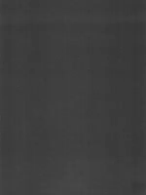 (JUNE BRIDE FES 2024) [マルハチ (8点)] 不可逆のわだち (崩壊：スターレイル)｜不可逆的车辙 [振兴东北二次元汉化组]_27