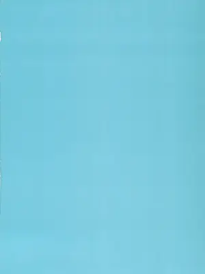 (JUNE BRIDE FES 2024) [マルハチ (8点)] 不可逆のわだち (崩壊：スターレイル)｜不可逆的车辙 [振兴东北二次元汉化组]_02