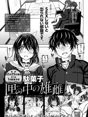 COMIC 快楽天ビースト 2025年1月号 [DL版]_348