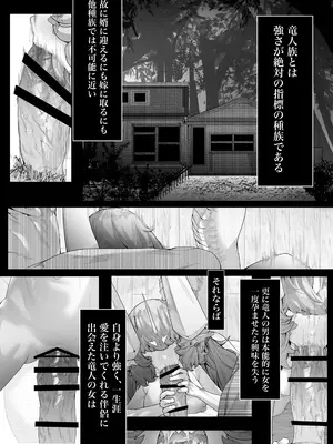 [でかいツノ (啓モ)] 竜人である我が己で育てたとはいえ人間の弟子に負けるわけないが？_42