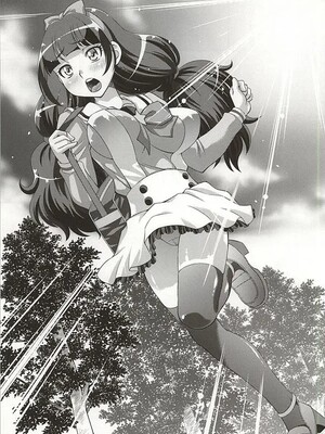 (C88) [スタジオ・ワラビー (ゆずしろっぷ)] おかくごはよろしくて (Go！プリンセスプリキュア)_02