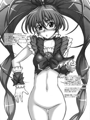 (C82) [2ストローク (YTS鷹那)] 2STROKE TM (スイートプリキュア♪)_27