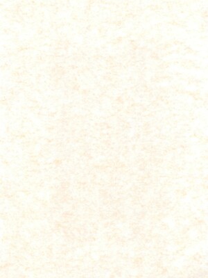 (C73) [龍正堂本舗 (NAMIO、龍堂ひろみ)] Magical Night 3 (もえたん)_03