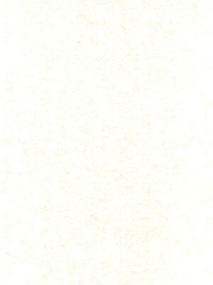 (C73) [龍正堂本舗 (NAMIO、龍堂ひろみ)] Magical Night 3 (もえたん)_04