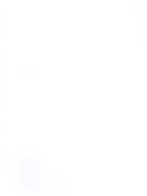 (C92) [しまぱんアイスキャンディー (雉中真裕)] 紫猫ゆかり (キラキラ☆プリキュアアラモード)_02