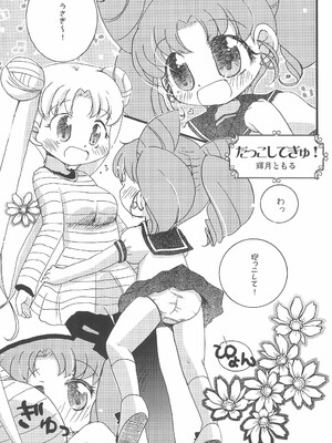 (ぷにケット27) [龍正堂本舗 (NAMIO、龍堂ひろみ)] Magical Night 6 (セーラームーン)_023