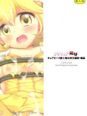 (C82) [ナギヤマスギ (那岐山)] プリキュア凌辱 (スマイルプリキュア!) [无毒汉化组]_23