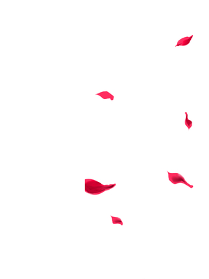 [牡丹もちと] マグロメイドもみんなもしこたまえっち！ [DL版]_002