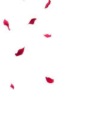 [牡丹もちと] マグロメイドもみんなもしこたまえっち！ [DL版]_229