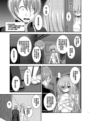 [valssu (茶琉)] メロンが超振動! R15 (テイルズオブジアビス) [流星汉化] [DL版]_010