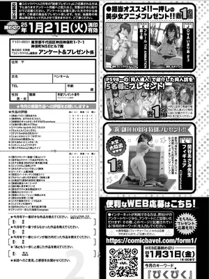 COMIC BAVEL 2025年2月号 [DL版]_600