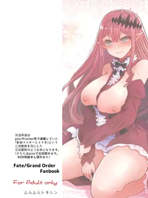 [ふらふらトキシン (荒野 沖)] 新米マスターとトリ子(・・・・・・の後日談的な3次創作みたいな本) (Fate／Grand Order) [DL版]_22