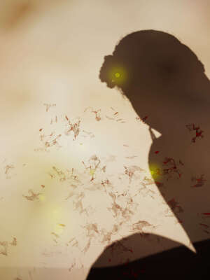 [bagnall] 神谕 第一季 08_009