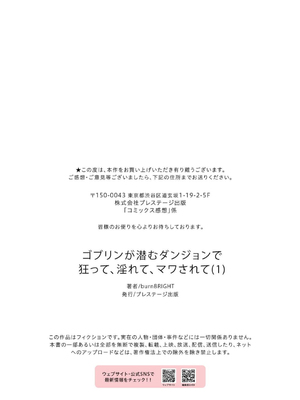 [burnBRIGHT] ゴブリンが潜むダンジョンで狂って、淫れて、マワされて(1) [中国翻訳]_29
