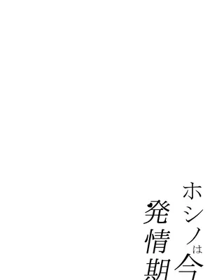[快楽 (イシノセ)] ホシノは今発情期 (ブルーアーカイブ) [DL版]_04