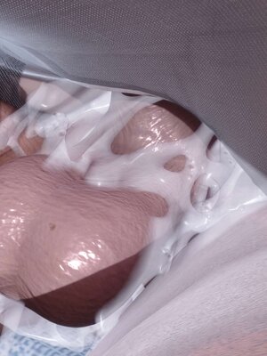 [3D]秘密01-48+番外01-03_004132