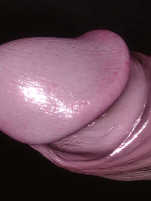 [3D]秘密01-48+番外01-03_005034