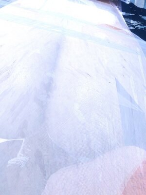 [3D]秘密01-48+番外01-03_018705