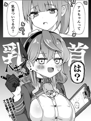 (C105) [Mofumofunerimonohiking (ﾆｰﾊｲちくわ)] アコちゃんって乳首ついてるの (ブルーアーカイブ) [DL版]_04