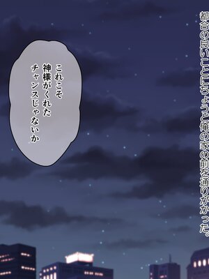 (同人CG集) [都島温泉 (ゆのどん)] 生意気なギャルをとっ捕まえて生イキさせてやった_s011_00