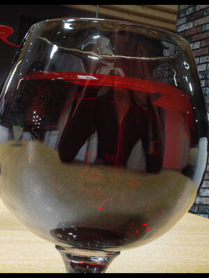 作家妈妈的沦陷 01-02_0869