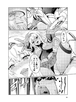 [レイドソックス (トリッキー)] 狂乱の討伐姫ダリア2_33