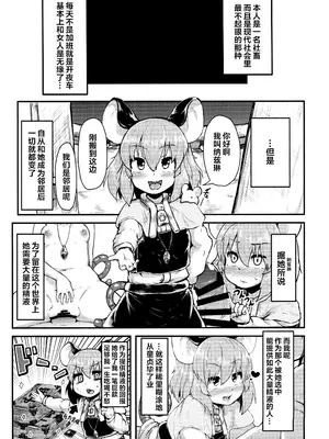 (C93) [チーズカンパニー (ペソ)] おとなりのナズーリンは繁殖期 (東方Project) [芝士佬个汉]_02