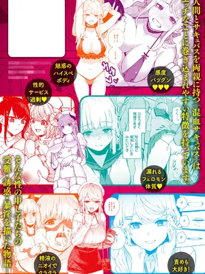 [ちゅーりっふ。] 混血サキュバスたちの日常 [DL版]_167