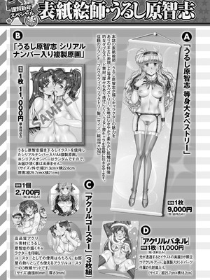 コミックマショウ 2025年2月号 [DL版]_234