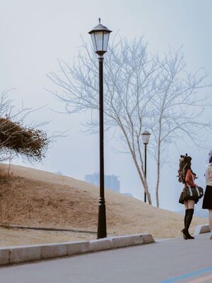 微博fgo_QQ图片20220406203300