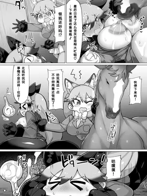 [嗜好立派 (しこりぱ)] キツネとお馬さん (けものフレンズ)｜狐与马先生 [有趣的个人汉化] [DL版]_23