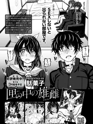 COMIC 快楽天ビースト 2025年2月号 [DL版]_291