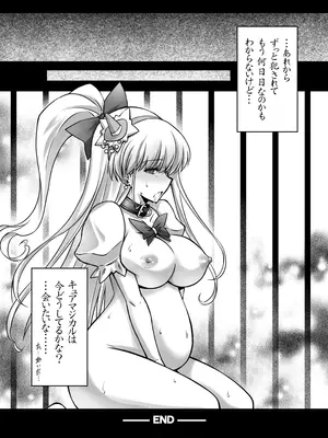 [ブルーガーネット (芹沢克己)] 魔女凌辱 (魔法つかいプリキュア!) [DL版]_24