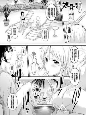 [ディオゲネスクラブ (灰川ヘムレン)] 楽園女海賊 (ワンピース) [DL版] [光阴个人汉化]_06