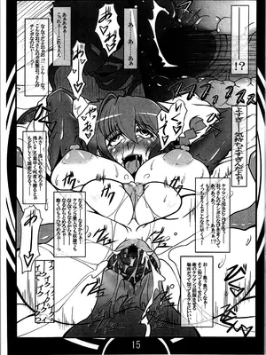 (C105) [片耳豚 (寒衣屋)] らんまの過去録 (らんま1／2)_15