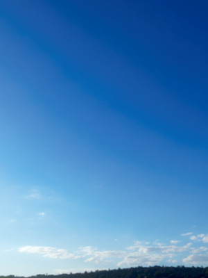 [JO白星]高考母子_087