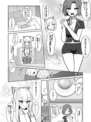 [いーなむ型 (ザック)] 妹紅と雷鼓のノせられ開発性感マッサージ (東方Project)_05