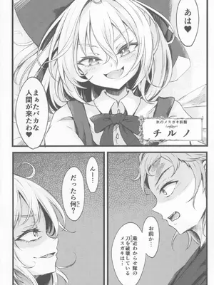 [心輝楼 (ぢょん)] わからせチルノちゃん (東方Project)_05