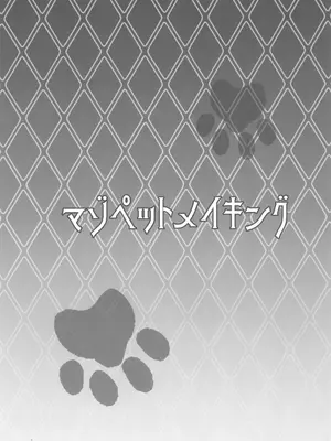 (C105) [どこかのよすみ (隅々四隅)] マゾペットメイキング+ペーパー (ポケットモンスター ブラック2・ホワイト2)_03