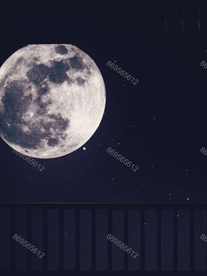 [神龙岛洪教主]熟母档案_0589