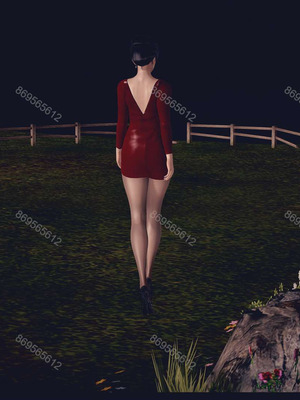 [神龙岛洪教主]熟母档案_1352