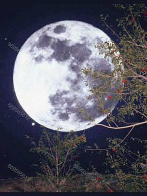 [神龙岛洪教主]熟母档案_1387