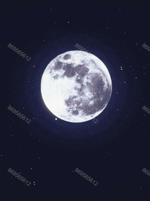 [神龙岛洪教主]熟母档案_1451