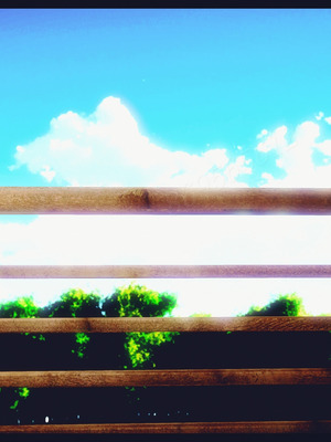 [神龙岛洪教主]熟母档案_2172