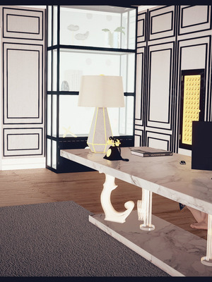 [神龙岛洪教主]熟母档案_2533