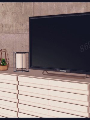 [神龙岛洪教主]熟母档案_2699