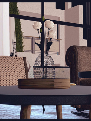 [神龙岛洪教主]熟母档案_2817