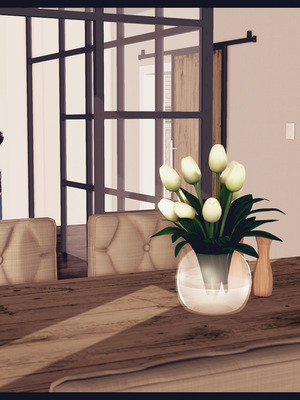 [神龙岛洪教主]熟母档案_3100