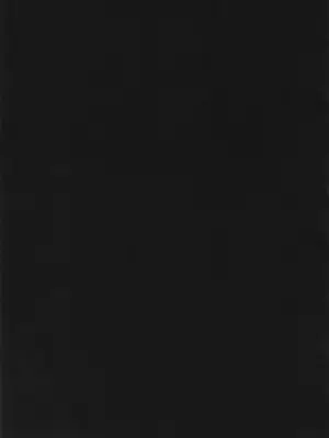 [肉樂園 (豊臨)] 女狐の交尾 (ブルーアーカイブ) [DL版]_26